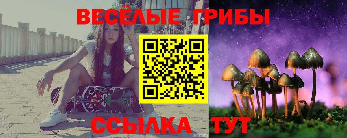 Новороссийск  Галлюциногенные грибы ЛСД  Вход с VPN 