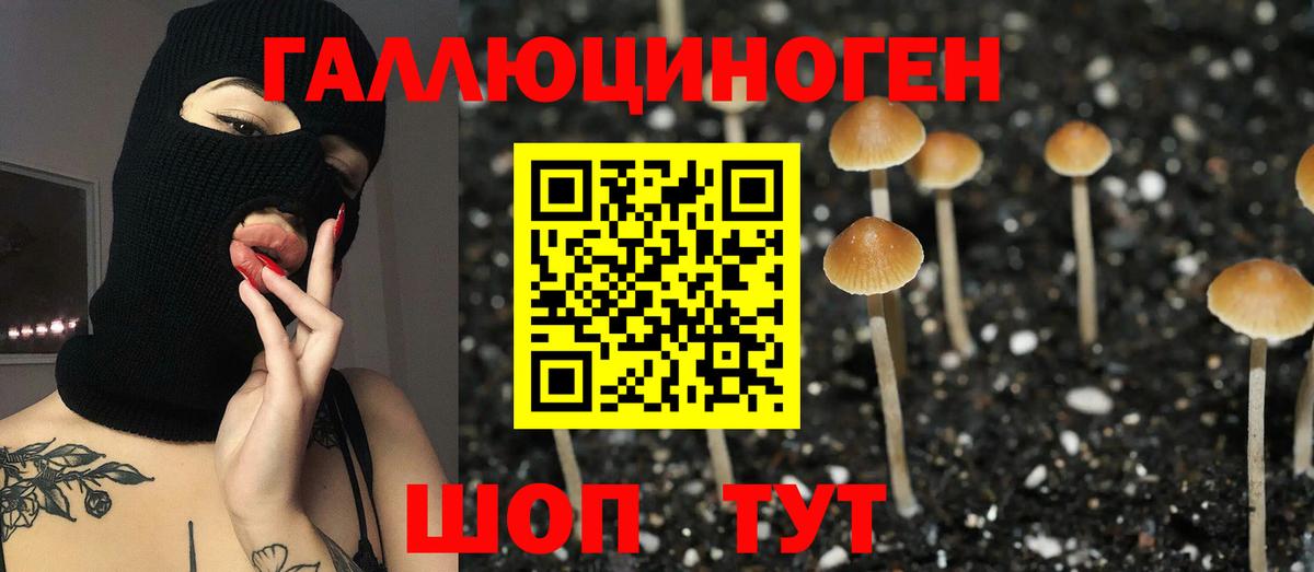 Галлюциногенные грибы Magic Shrooms Новороссийск